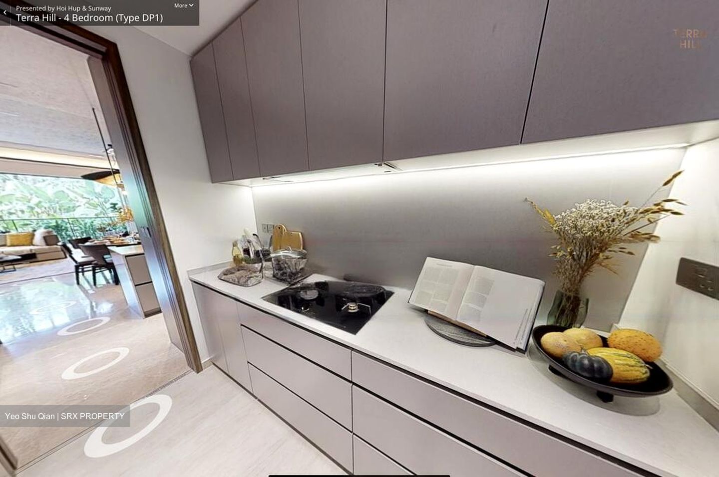 Terra Hill (D5), Apartment #461327111